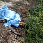 Matagalpa: Hombre muere tras incrustarse una rama de Cedro en el cuerpo matagalpa