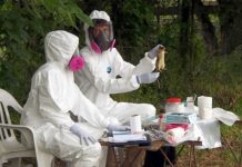 Suben a 12 las muertes por hantavirus en Argentina argentina