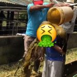 Presentador de Rebeldes recibe asqueroso baño, adivina quien fue nicaragua