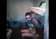 Reo escribe con excremento el nombre de sus 35 gatos argentina