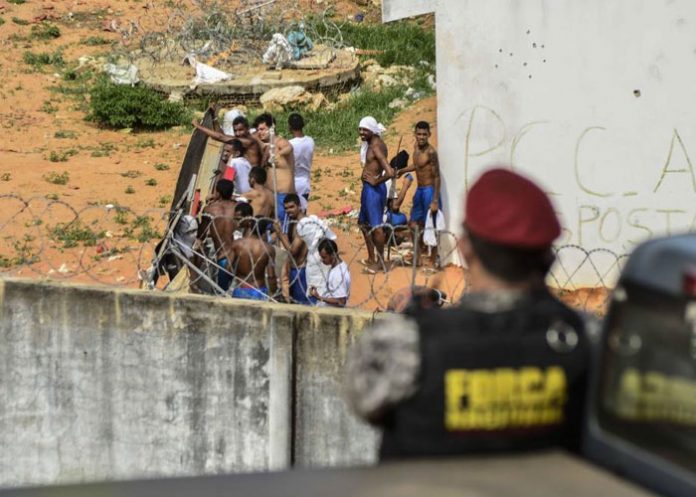 Reos-Brasil reos muertos