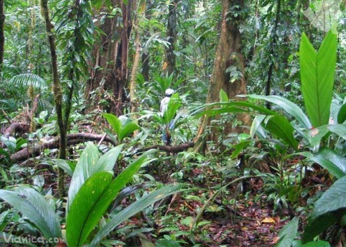 Reserva destacamento militar sur