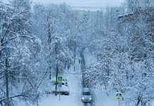 Nevada desata el caos en Moscú, Rusia