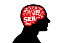 Así es el cerebro de una persona que ve pornografía asi es