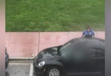 detenidos