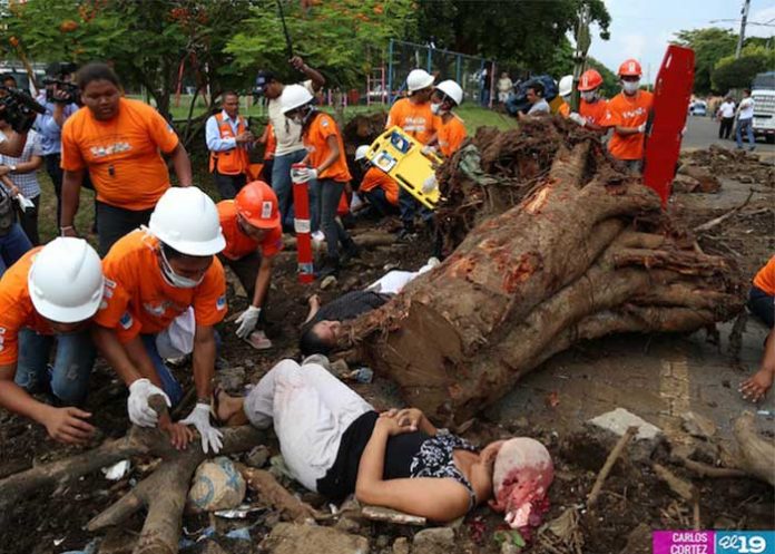 proteccion de la vida