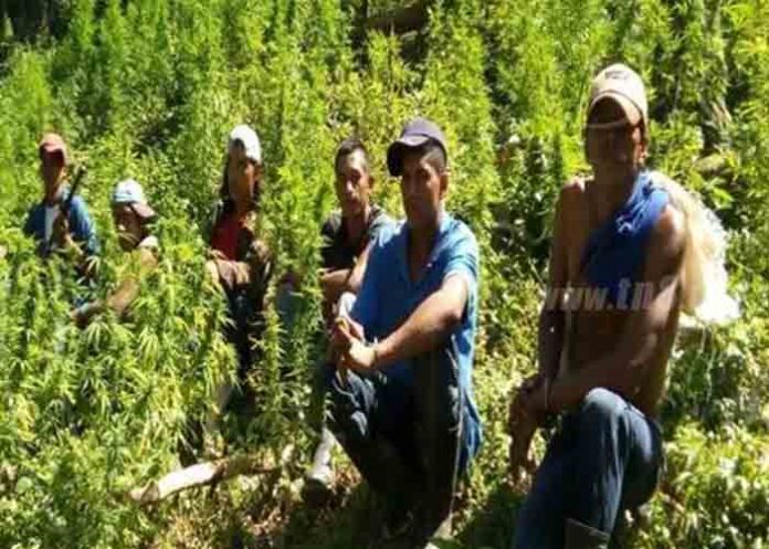 Sin_titulo-1-Recuperado_Ffk4Rx5 matagalpinos