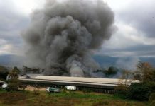 Incendio «chamusquea» a 36 mil gallinas en Costa Rica incendio