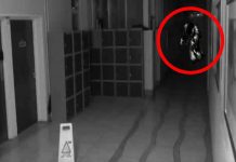 video viral
