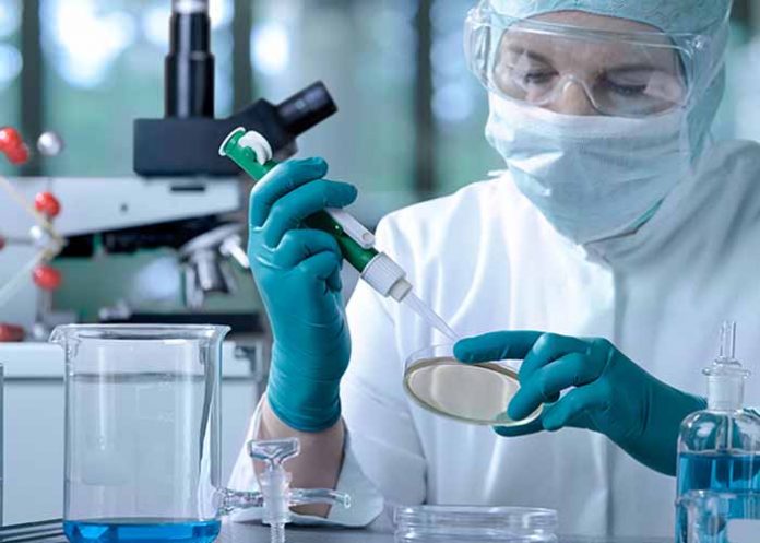 Sin_titulo-1_3VWRwoQ