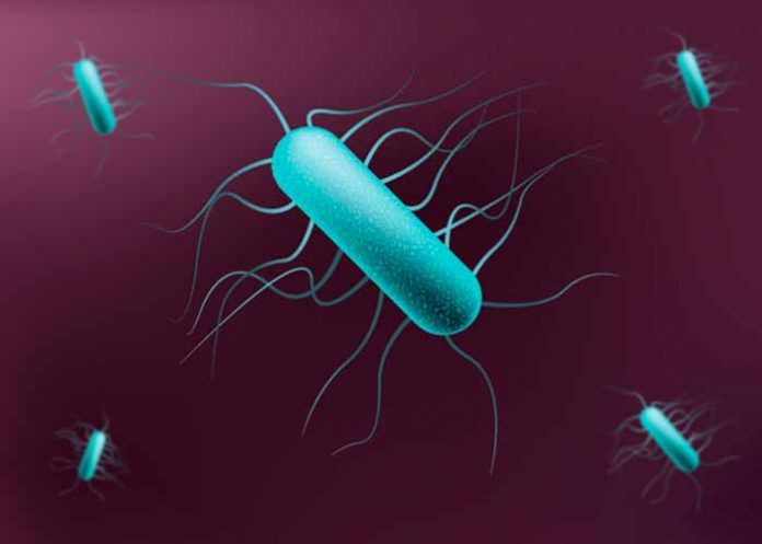 Sin_titulo-1_5cVljBz bacteria