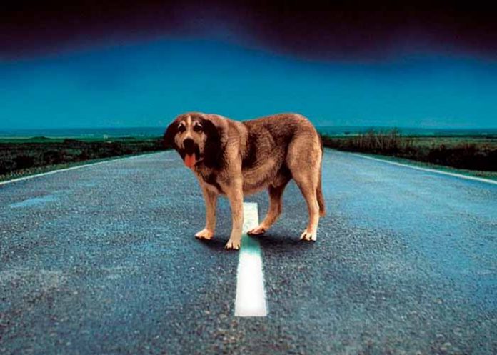 Sin_titulo-1_5jPso44