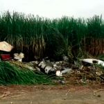 Hallan narcoavioneta calcinada en cañaveral de Honduras narcoavioneta