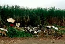 Hallan narcoavioneta calcinada en cañaveral de Honduras narcoavioneta
