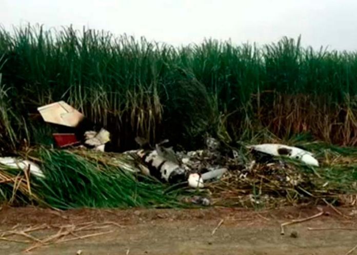 Sin_titulo-1_AbHOWch narcoavioneta