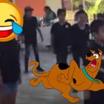 scooby doo pa pa
