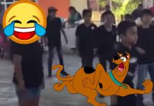 Video Viral: Así es cómo Jesús se negó a bailar Scooby Doo Pa Pa scooby doo pa pa