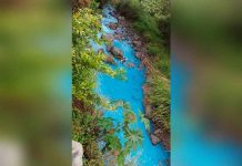 Costa Rica: Investigan contaminación de río tras convertir sus aguas en celeste