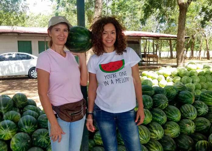 Sin_titulo-1_Edk1799