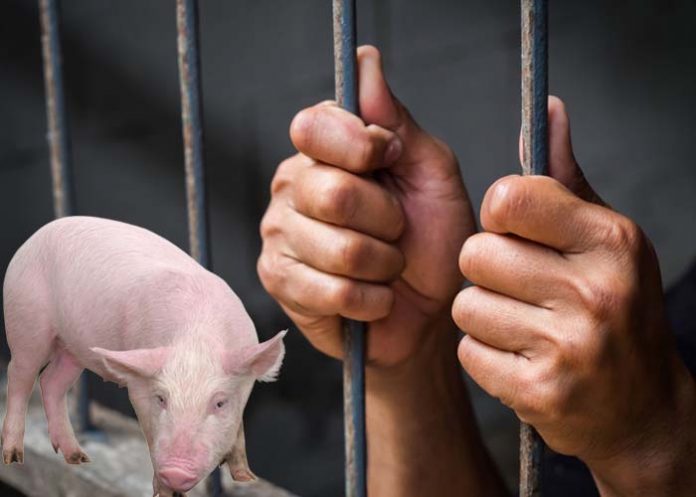 Sin_titulo-1_FlBQMrV hombre tras las rejas