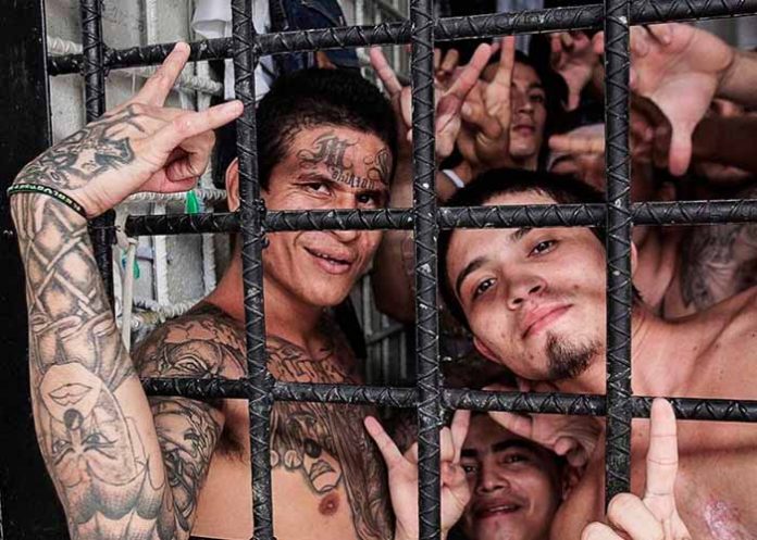 Sin_titulo-1_IXWuLbc