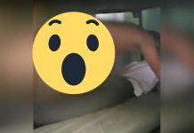 Polémica en Perú por policías cometiendo actos obscenos (VIDEO) policias de peru
