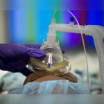 Aumentan a 53 los niños muertos por la epidemia de gripe en EE.UU.