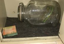 Costa Rica: Quiebran banda que enviaba drogas por correo postal correo postal