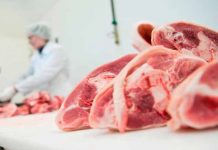 Costa Rica ya tiene permiso para exportar carne de cerdo a China negocios