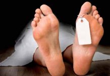 Hallan cadáver con plomazo en la frente y sin orejas en Costa Rica cadaver tapado