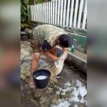 Video Viral: Hombre lanzado le pega «chapuzón» a su cocodrilo hombre valiente