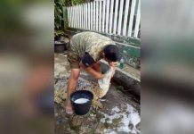 Video Viral: Hombre lanzado le pega «chapuzón» a su cocodrilo hombre valiente