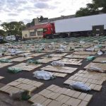 Fuerte golpe al narcotráfico tras decomisar 10 toneladas de marihuana en Argentina argentina
