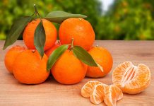 Perú se posiciona como el principal exportador de mandarina en América mandarina