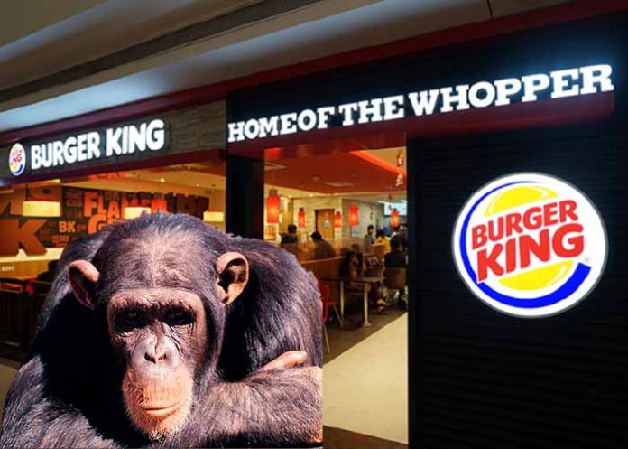 restaurante de comidas rapidas