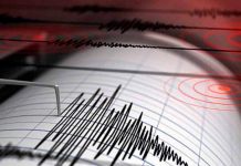Sismo de magnitud 4,7 sacude territorio venezolano sismografo