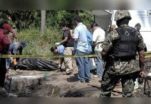 Hallan cuatro cadáveres calcinados dentro de un vehículo en Guerrero, México