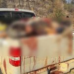 cadaveres en camioneta