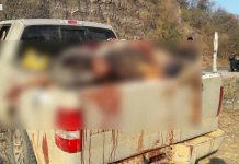 Aumenta a 15 los cadáveres hallados en camioneta en Michoacán cadaveres en camioneta