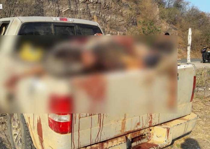 cadaveres en camioneta