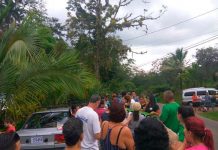 Hombre viola a una perrita y causa indignación en Costa Rica manifestacion