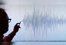 Movimiento sísmico de magnitud 5,5 sacude la costa sur de Perú