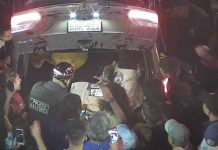 Perú: Hallan camioneta con perros muertos para ser vendidos a restaurante