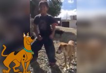 Video Viral: Niño es toda una sensación al bailar junto a su amigo fiel Scooby Doo Pa Pa video viral