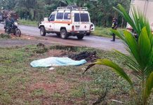 Motociclista pierde la vida tras pegar contra camión en Costa Rica