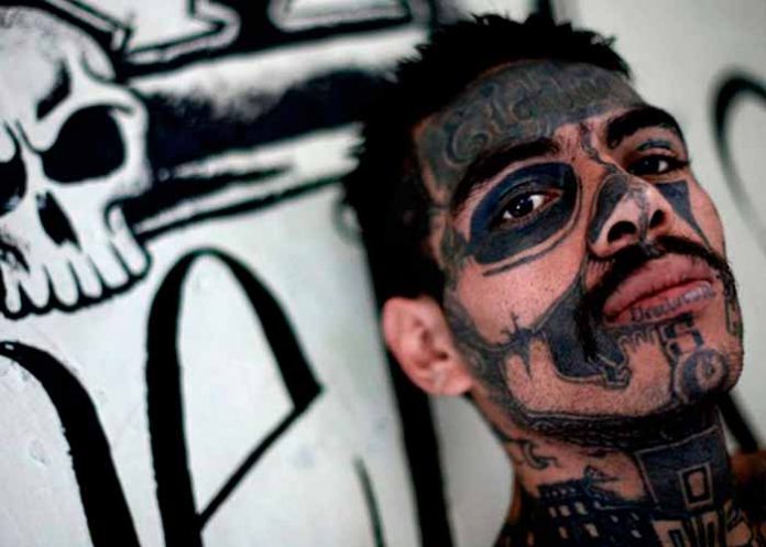 Sin_titulo-1_vU5LK7U