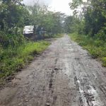 Conozca «la piedra maldita» ubicada en el límite entre Nicaragua y Costa Rica camino solitario