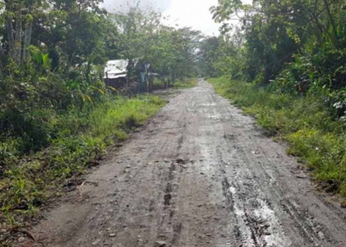 Sin_titulo-1_zR6Dq7H camino solitario