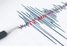 Se registra sismo de magnitud 4,8 en California, EE.UU. sismo