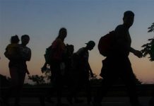 Proteína clave para la longevidad estados unidos